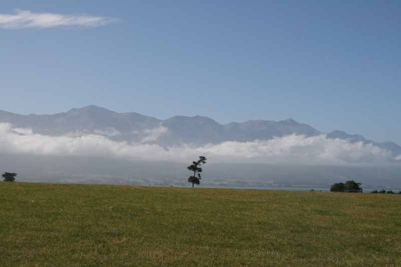 Nieuw-Zeeland 2011 - 1168
